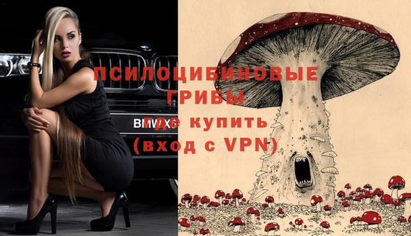 индика Абдулино