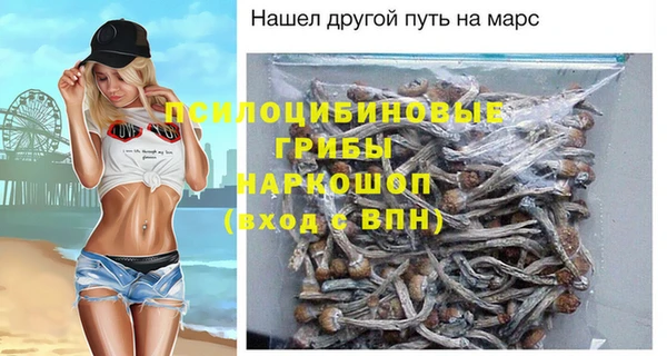 индика Абдулино