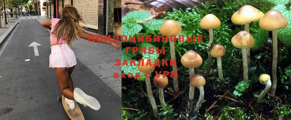 индика Абдулино