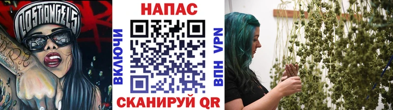 Канабис OG Kush наркотики Ахтырский